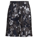 Camo Printed Short - Denny's