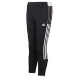 Tiro 21 Pant - Denny's