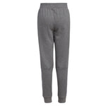 Team 3 Stripe Fleece Jogger - Denny's
