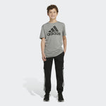 Cargo 3 Stripe Jogger - Denny's