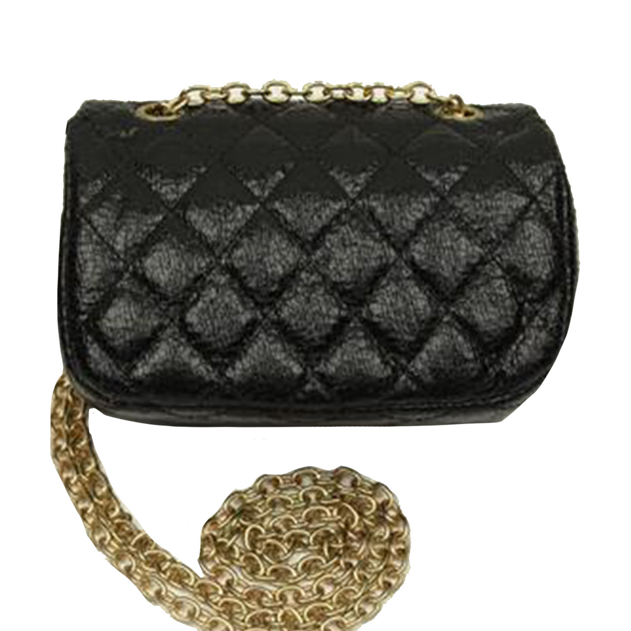 Shiny Quilted Bag - Denny's