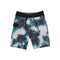 Mod Iconic Dye Boardshort - Denny's