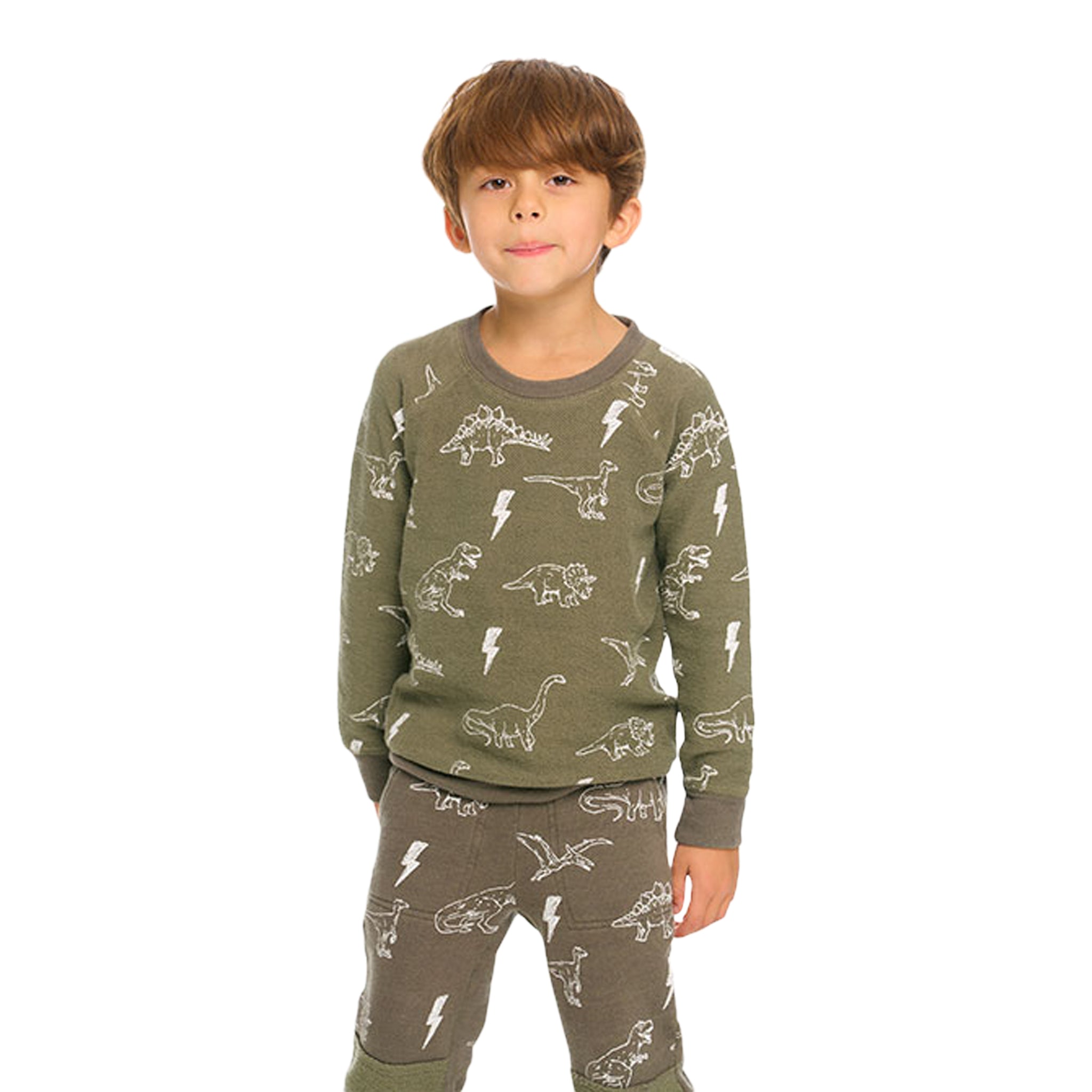 Dinosaur Cozy Knit Sweatshirt - Denny's
