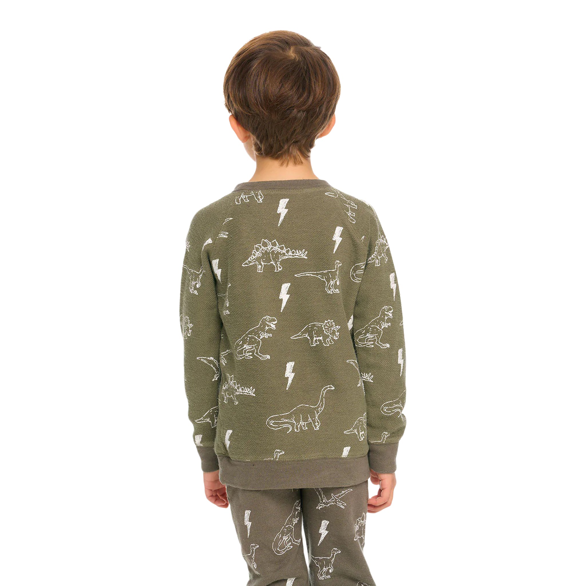Dinosaur Cozy Knit Sweatshirt - Denny's