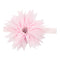 Chiffon Flower Headband - Denny's