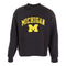 Cropped Michigan Crew Sweatshirt with Cuts - Denny's