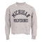 Michigan Cropped Crew Sweatshirt with Cuts - Denny's