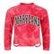 Bleached Maryland Sweatshirt - Denny's