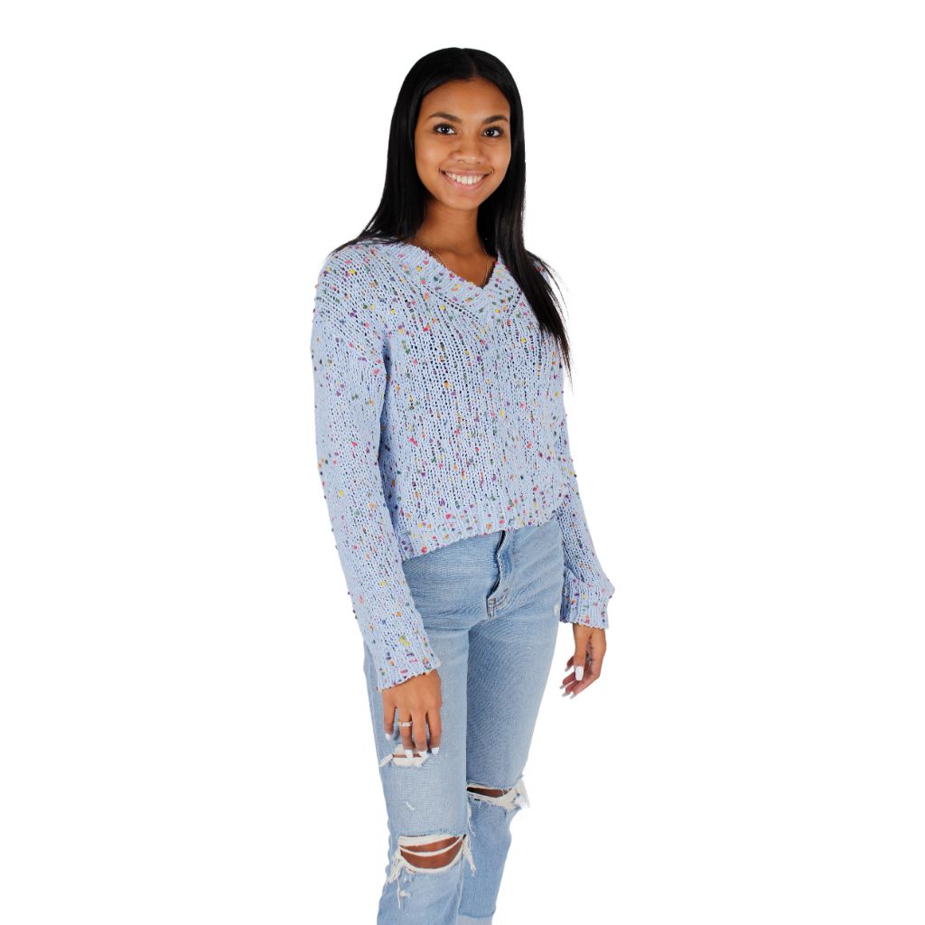 Speckled V-Neck Sweater - Denny's
