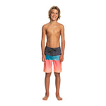 Everyday Panel Boardshort - Denny's