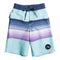 Surf Silk Resin Tint Boardshort - Denny's