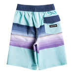 Surf Silk Resin Tint Boardshort - Denny's