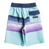Surf Silk Resin Tint Boardshort - Denny's