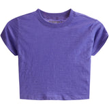 Solid Essential Crop Top - Denny's
