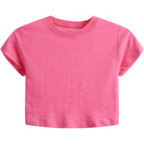 Solid Crop Crew Tee - Denny's
