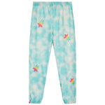 Multi Color Shooting Tie Dye Star Jogger - Denny's