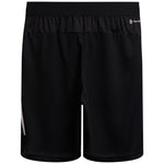 Train Essentials 9inch Jersey Short - Denny's