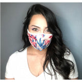 Assorted Face Masks - Denny's