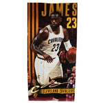 James Beach Towel - Denny's