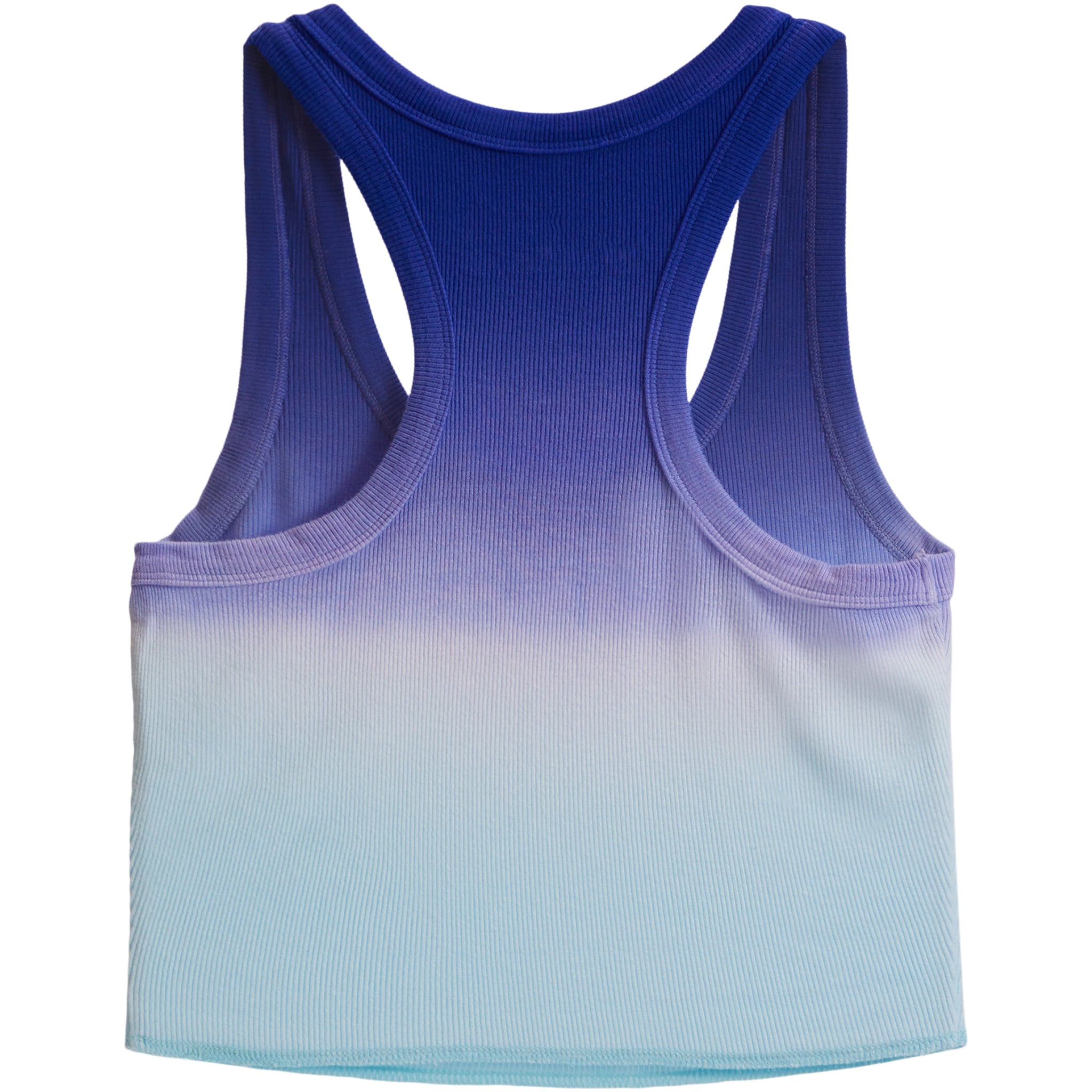 Periwinkle to Mint Dip Dye Tank - Denny's