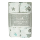 2 Pack Safari Boys Swaddle - Denny's