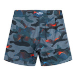 Chameleon Boardshort - Denny's