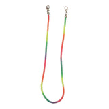 Rainbow Coil Mask Lanyard - Denny's