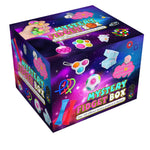 Mystery Fidget Box - Denny's