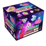 Mystery Fidget Box - Denny's