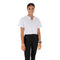 Short Sleeve Raw Edge Solid V-Neck - Denny's