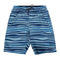Wave Stripe 9inch Volley with Boxer Liner - Denny's