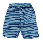 Wave Stripe 9inch Volley with Boxer Liner - Denny's