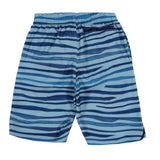Wave Stripe 9inch Volley with Boxer Liner - Denny's