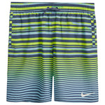 Fade Stripe Breaker 9in Volley - Denny's
