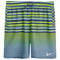 Fade Stripe Breaker 9in Volley - Denny's