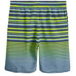Fade Stripe Breaker 9in Volley - Denny's