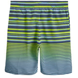 Fade Stripe Breaker 9in Volley - Denny's
