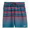 Fade Stripe Breaker 9in Volley - Denny's