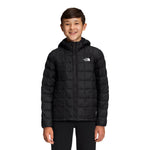 Thermo Ball Jacket - Denny's