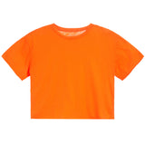 Solid Crop Tee - Denny's