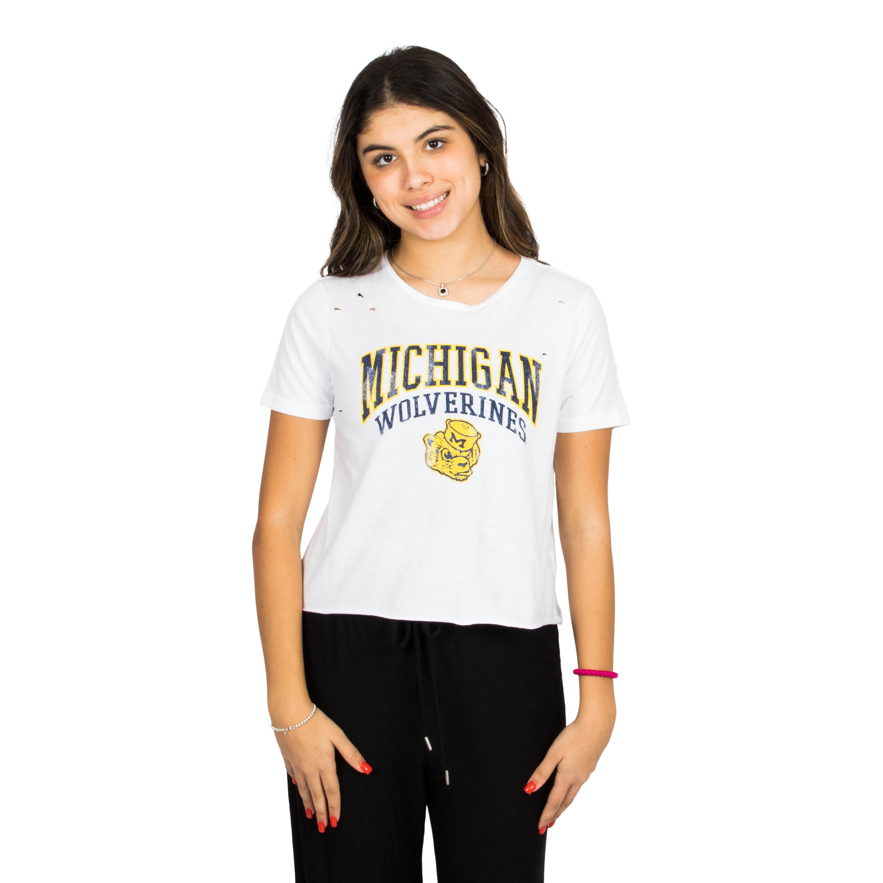 Michigan Distressed  Crop Tee - Denny's
