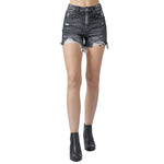 High Rise Distressed Denim Short - Denny's