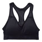 Seamless Sports Bra with Removeable Cups - Denny's