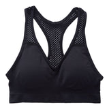 Seamless Sports Bra with Removeable Cups - Denny's