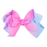 Pink & Purple Tie Dye 4 inch Clip - Denny's