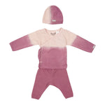 3 Piece Ombre Berry Take Home Set - Denny's