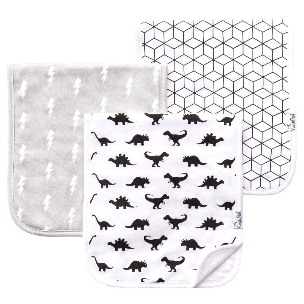 Dinosaur Wild Three Pack Premium Burp Cloths - Denny's