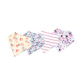 Morgan Four Pack Bandana Bibs - Denny's