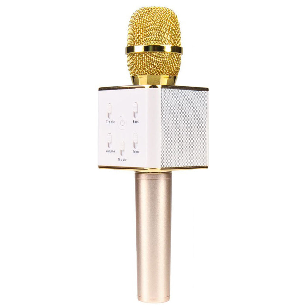 Sing Along Pro Microphone and Speaker - Denny's